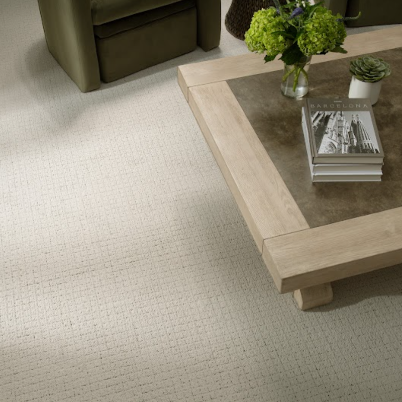 Soft Karastan Carpet in a modern home